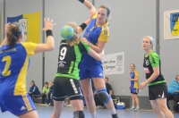 1. Damen vs. HSG Thomasberg/Siebengebirge vom 02.02.2014