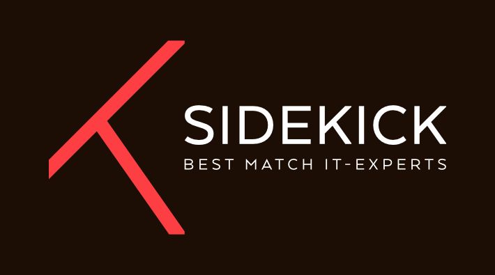 SIDEKICK - Best Match IT-Expert